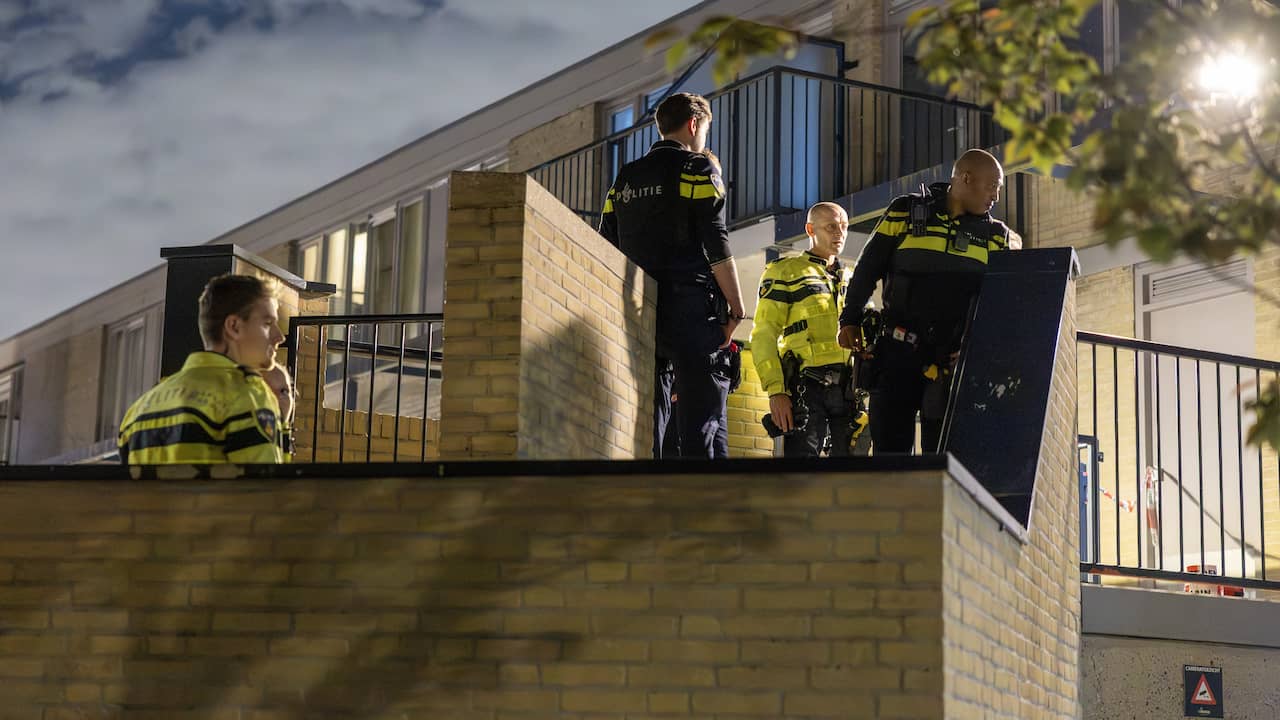 Nabestaanden in rechtszaal geconfronteerd met details over doodgestoken zus, OM biedt excuses aan