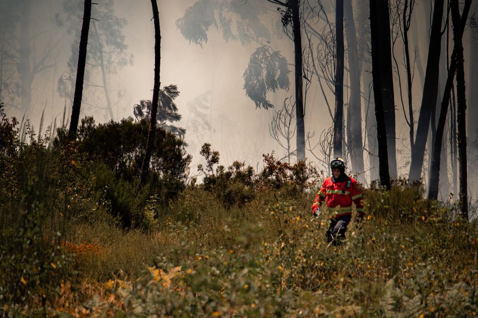 ‘Nieuwe generatie bosbrand’ laat brandweer machteloos: ‘Tegen een 50 meter hoge muur van vlammen doe je niets’